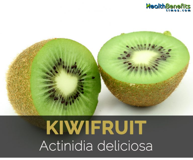 Kiwifruit Facts Health Benefits And Nutritional Value