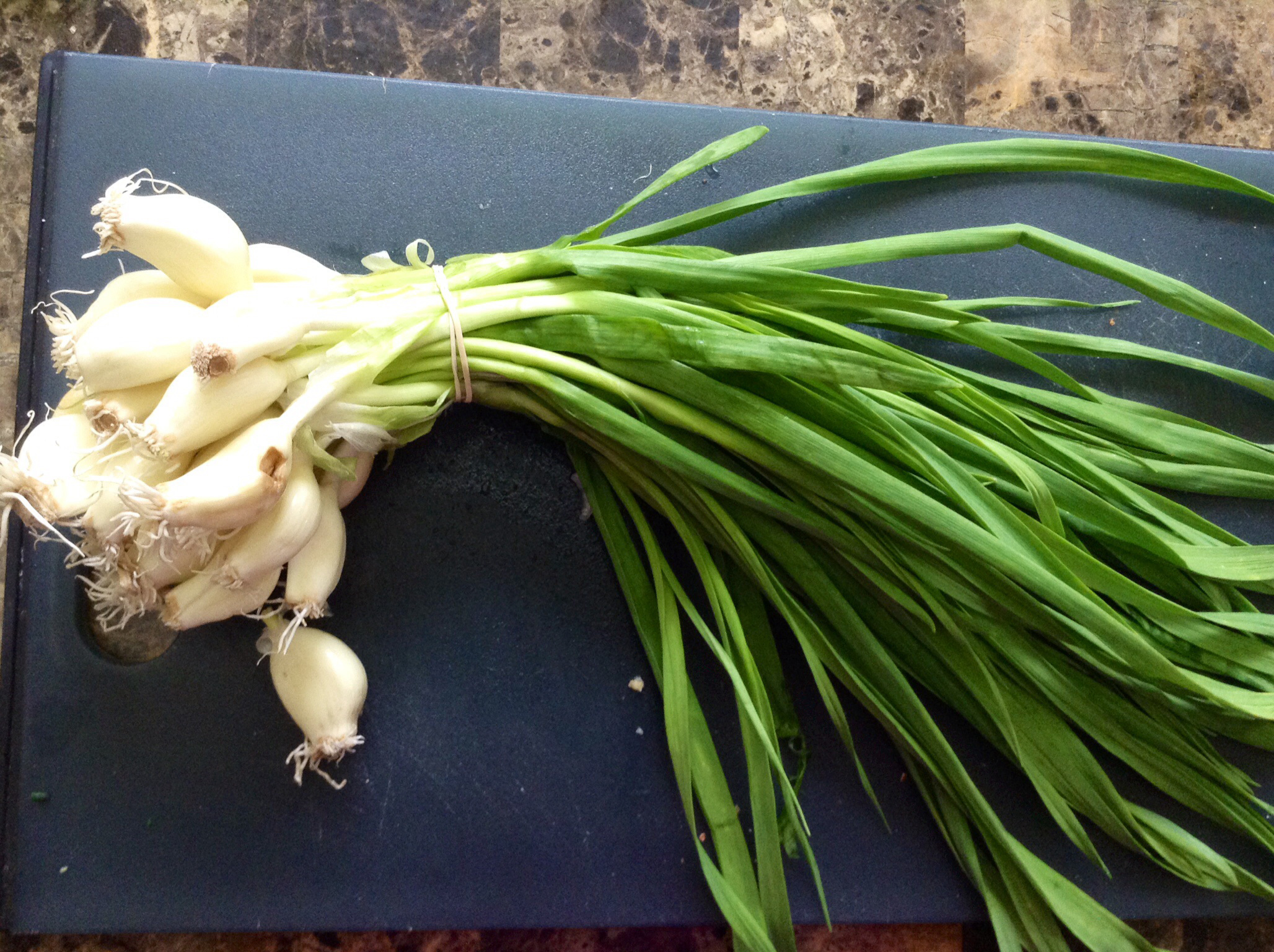 Top Health Benefits Of Green Garlic HB Times