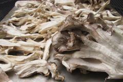 Pieces-of-Maitake-Mushroom