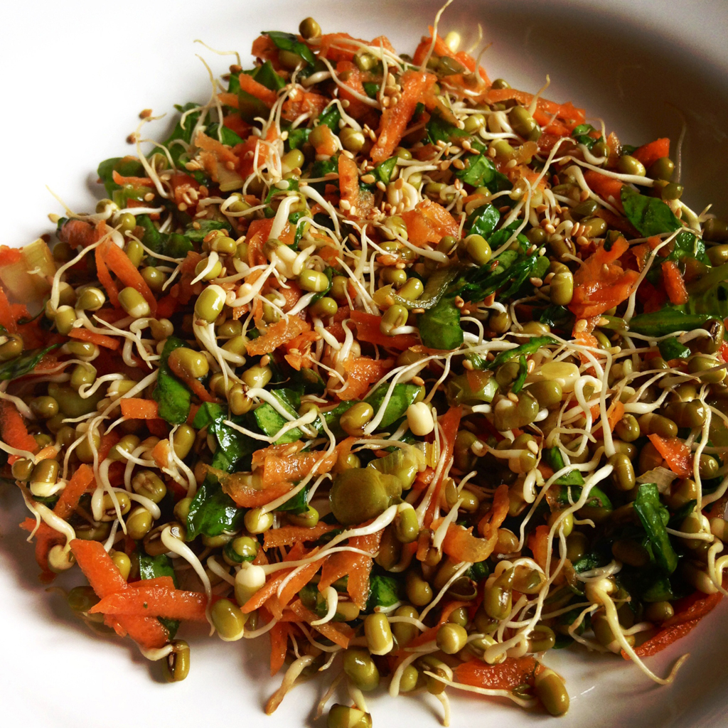 Mung Bean Sprouts Fact Health Benefits Nutritional Value