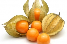 Physalis Facts, Health Benefits and Nutritional Value