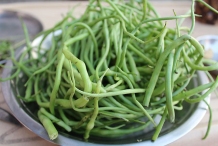 Sangri-beans