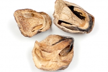 Dried-Straw-Mushroom