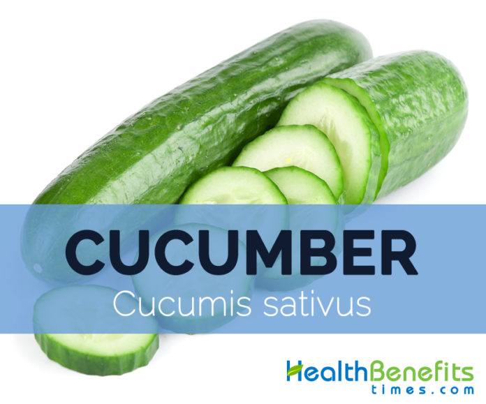 research study about cucumber