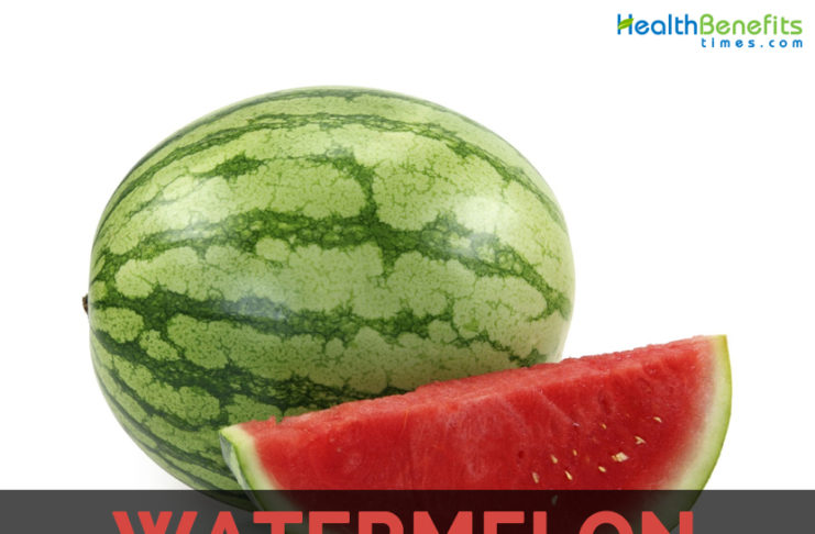 Winter Melon Facts, Health Benefits And Nutritional Value