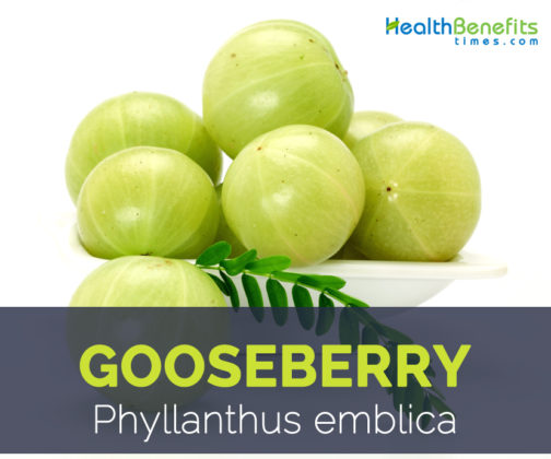 Gooseberry Facts And Health Benefits