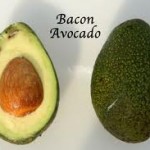 Bacon Avocado