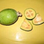 Feijoa Gemini