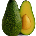 Fuerte Avocado