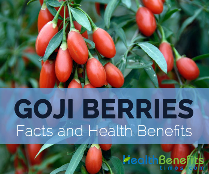 Goji Berries Facts Health Benefits And Nutritional Value