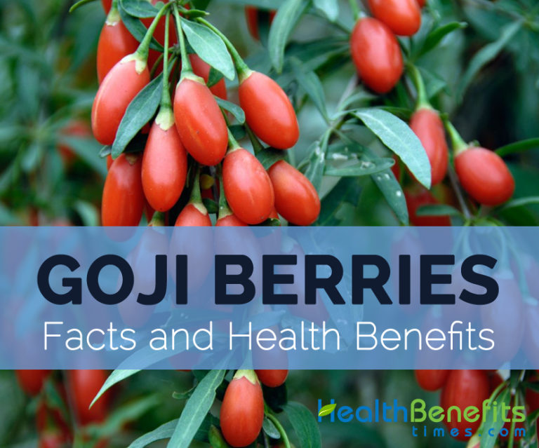 Goji berries Facts, Health Benefits and Nutritional Value