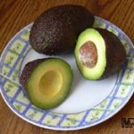 Mexicola Avocado