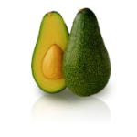 Shepard Avocado