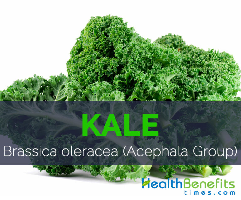 Kale Facts Health Benefits And Nutritional Value