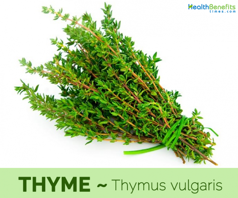 bunch of thyme meaning