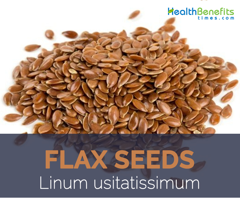 Flax seeds/Linseed: Amazing Health Reasons To Include This Wonder Seed In  Your Diet