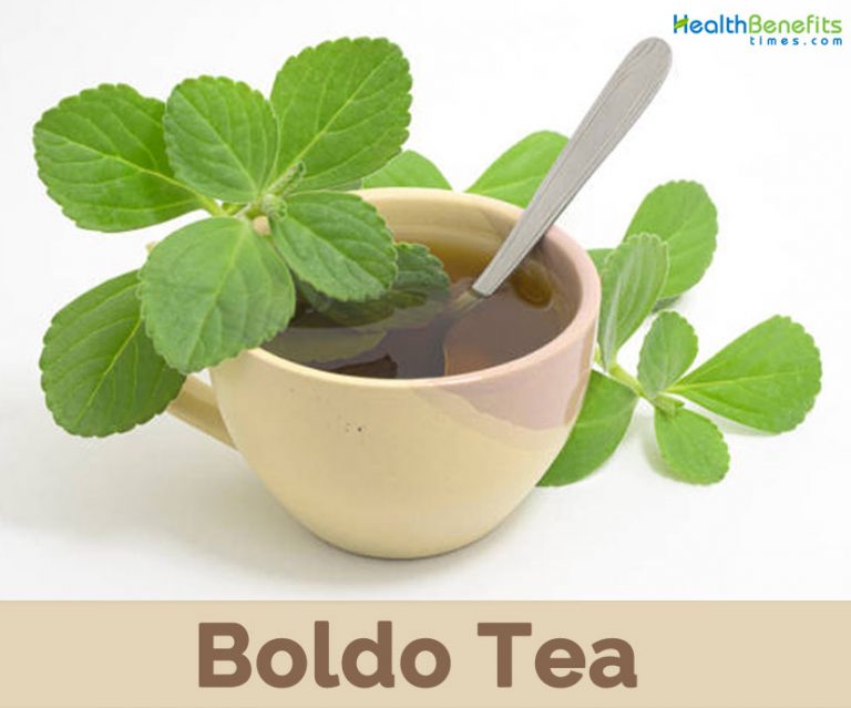 health-benefits-of-boldo-tea-hb-times