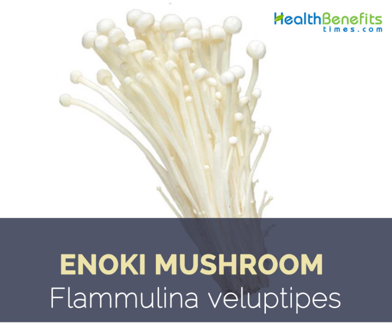 Enoki Mushroom facts and health benefits