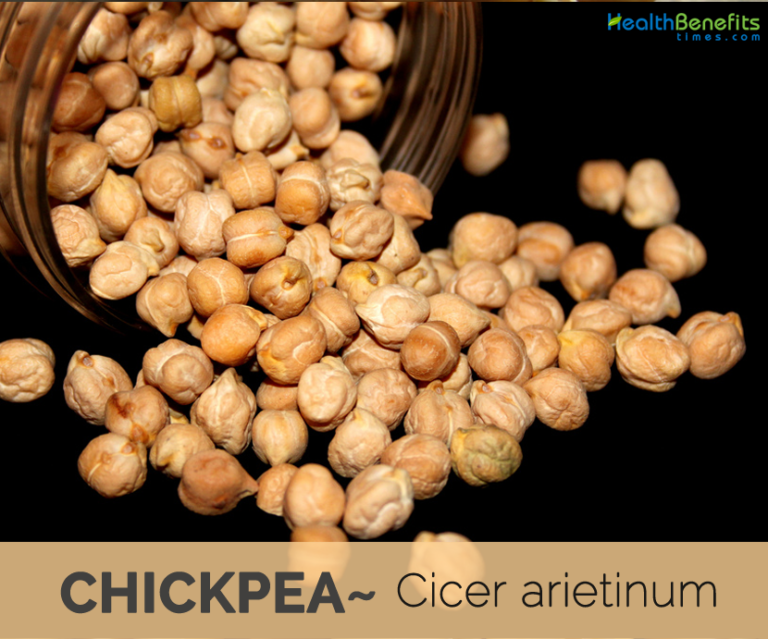 17 Top Health Benefits Of Chickpeas | HB Times