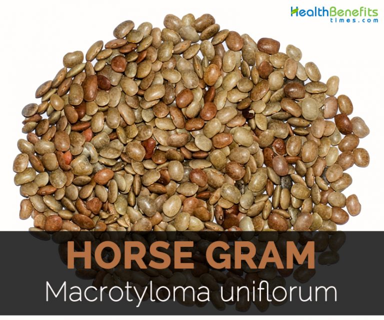 horse-gram-facts-and-health-benefits