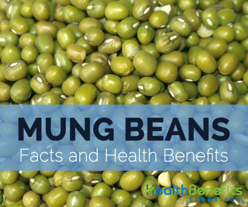 mung-beans-facts-health-benefits-and-nutritional-value