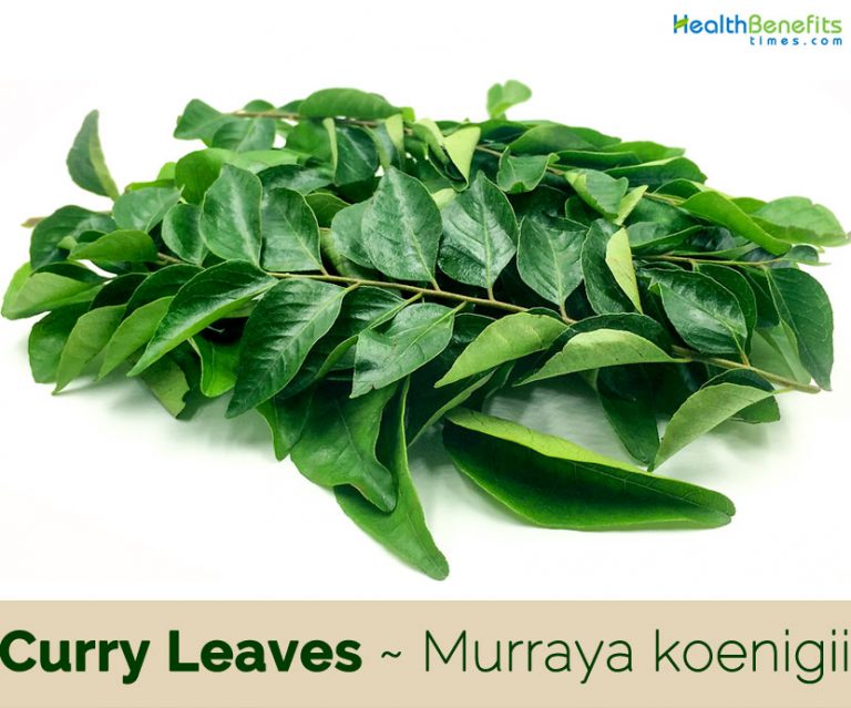 curry-leaves-facts-and-health-benefits