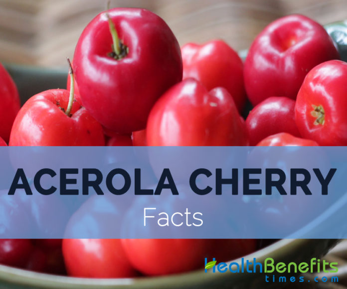 Acerola Cherry Facts And Nutritional Value