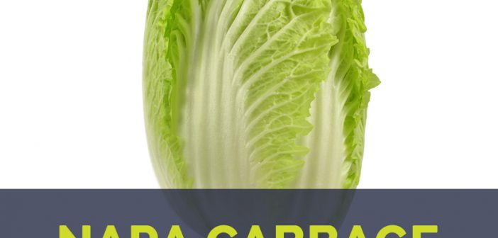 Napa cabbage facts and health benefits