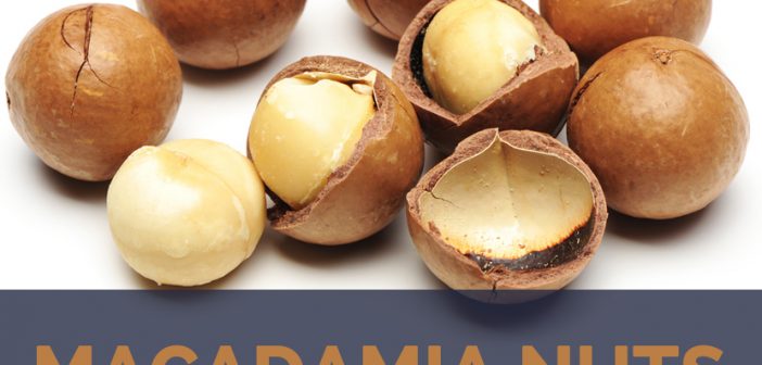 Macadamia nuts facts and health benefits