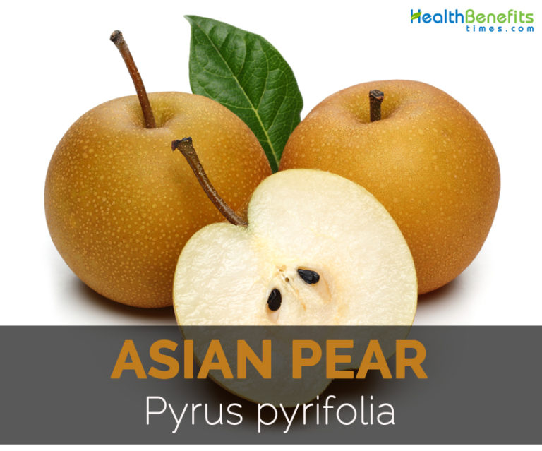 Asian Pear Facts, Health Benefits and Nutritional Value