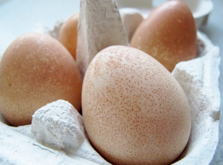 guinea-fowl-egg-health-benefits