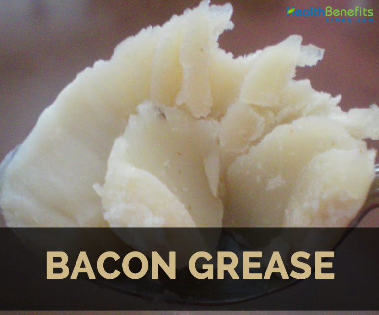 Bacon grease Facts, Medicinal uses and Nutritional Value