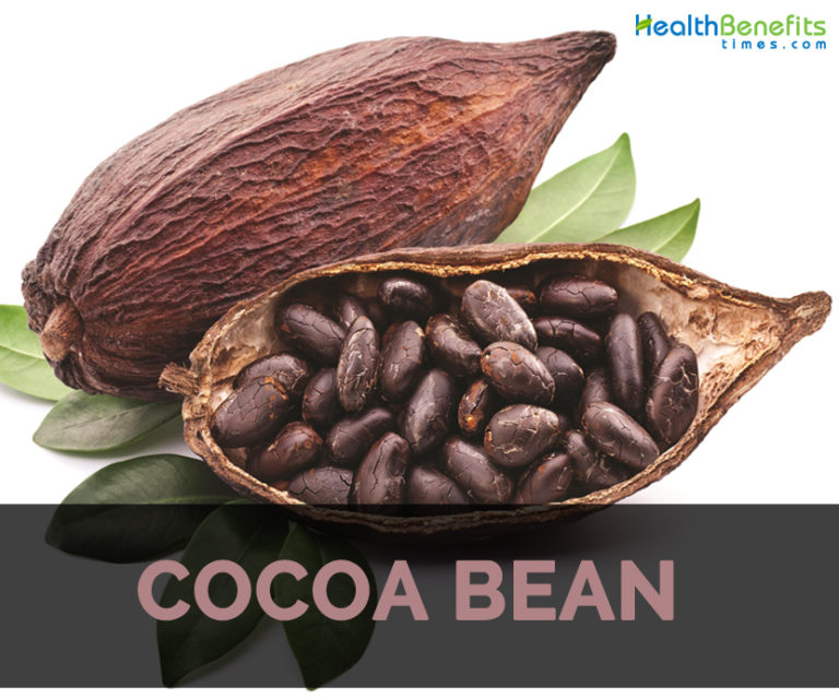 cocoa-bean-facts-health-benefits-and-nutritional-value