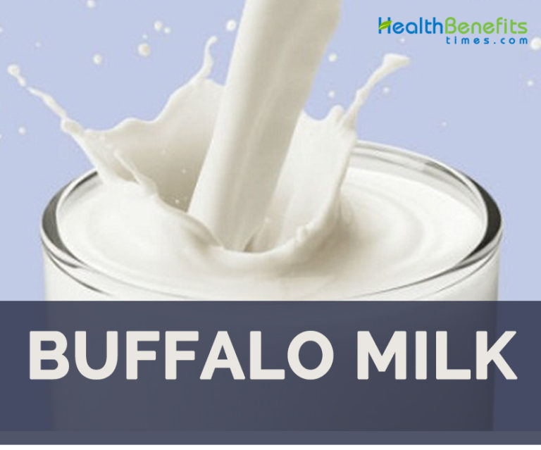 Buffalo Milk facts and health benefits