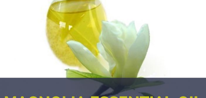 Health benefits of Magnolia essential oil