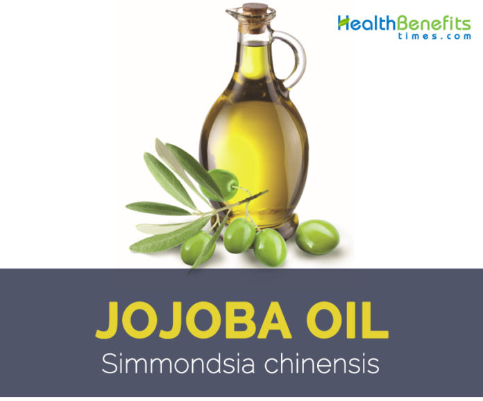 Jojoba Oil Facts And Health Benefits