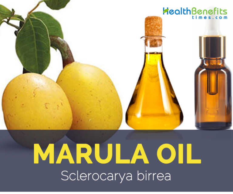 Marula Oil Facts And Health Benefits 8996