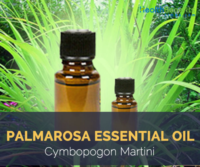 Palmarosa Essential Oil Facts And Health Benefits 4079