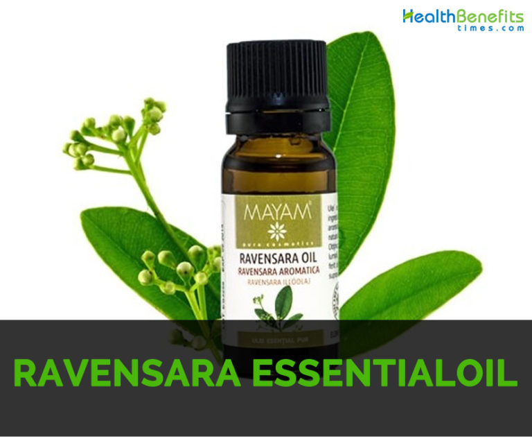 Ravensara essential oil Facts and Health Benefits