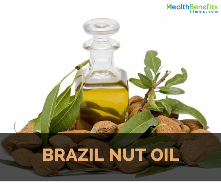 brazil-nut-oil-facts-and-health-benefits