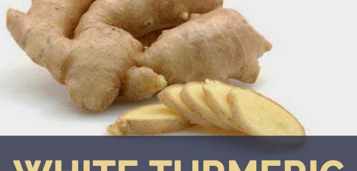 White turmeric facts and health benefits