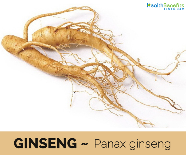 Ginseng facts and health benefits