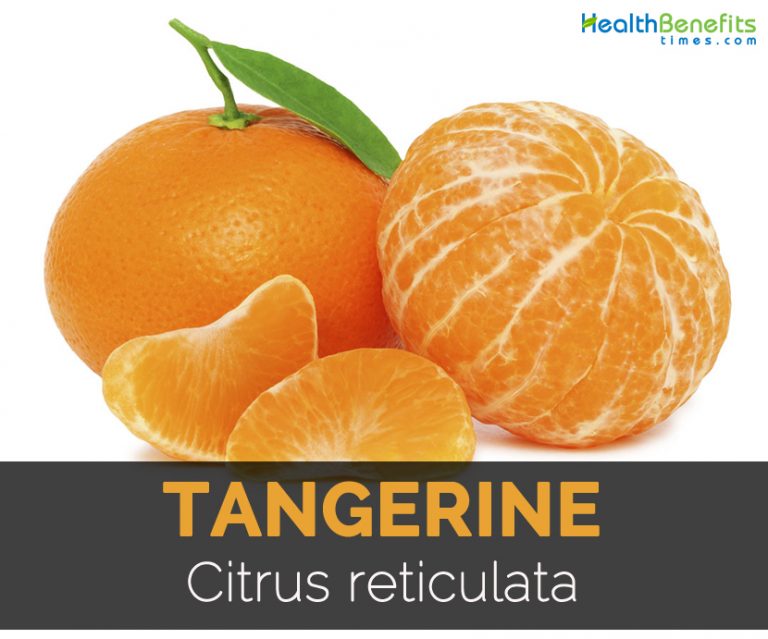 Tangerine Facts, Health Benefits and Nutritional Value