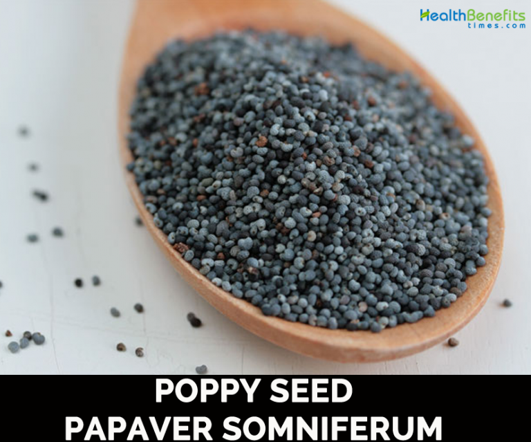 Poppy seed facts and health benefits