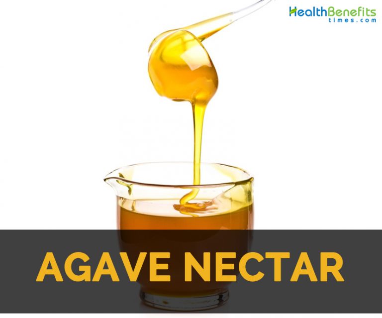 Agave nectar Facts, Medicinal uses and Nutritional Value