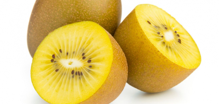 All about Golden Kiwi