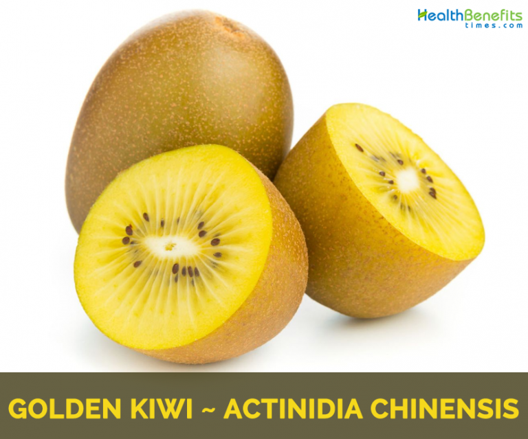 Golden Kiwi facts and health benefits