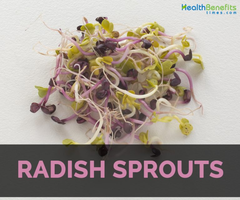 Radish Sprouts Facts, Health Benefits and Nutritional Value