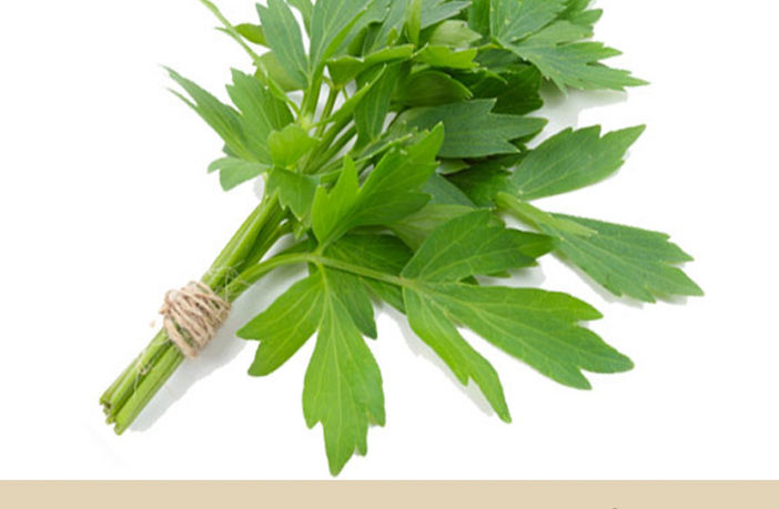 Lovage Facts And Health Benefits