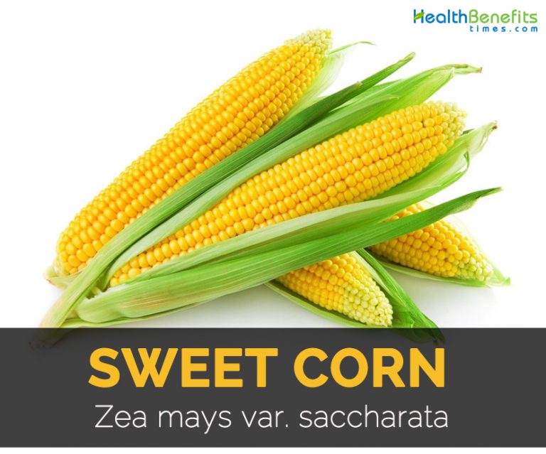 health-benefits-of-organic-sweet-corn-best-herbal-health